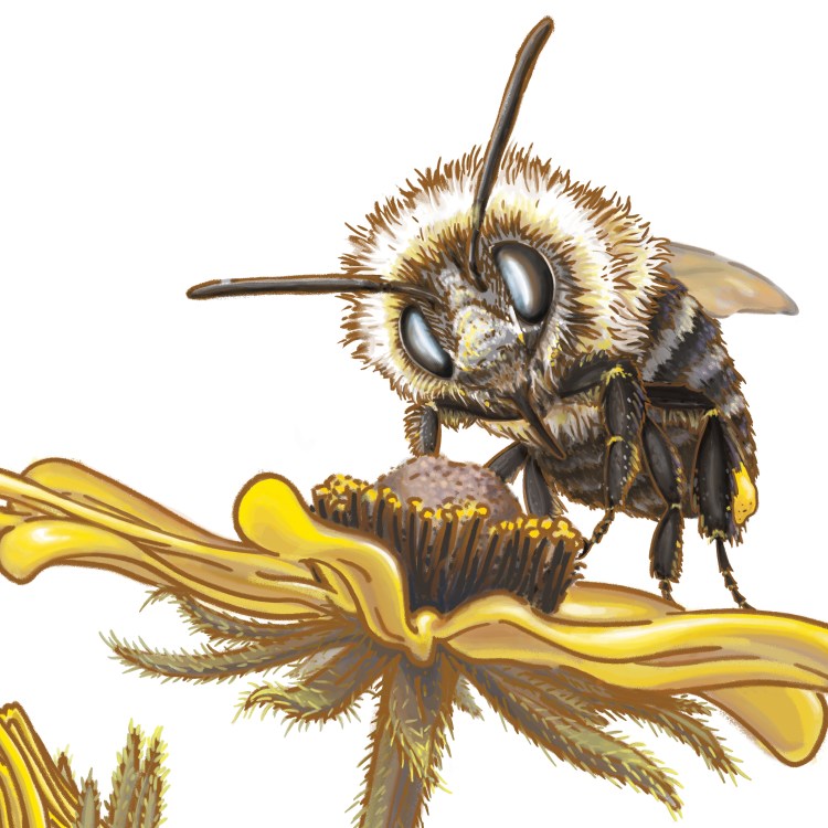 Digital illustration of a bee on a flower